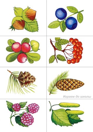 Ягоды картинки для детей