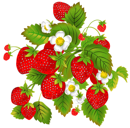 Ягодыи картинка для детей