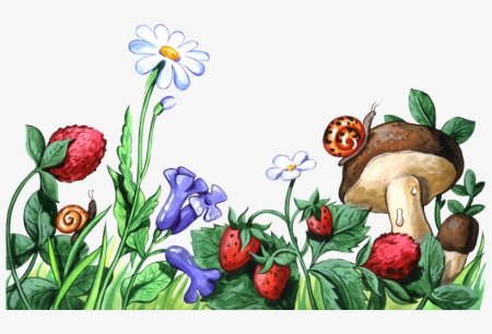 Полянка с цветами и грибами