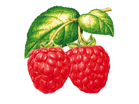 Ягоды для малышей