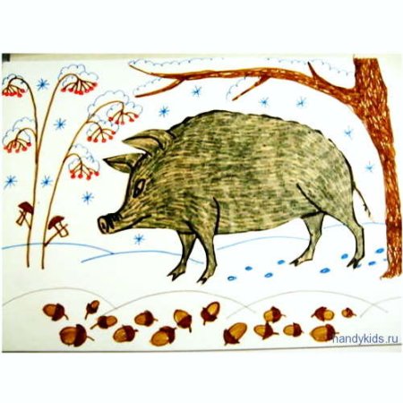 Кабанчик рисунок для детей