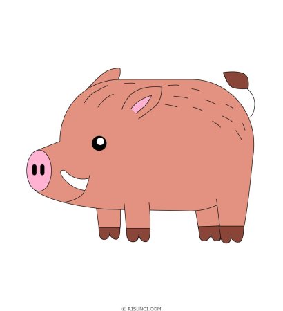 Кабан контур