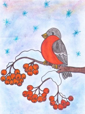 Рисование Снегирь на ветке