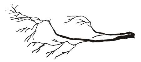 Ветка раскраска