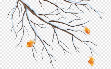 Снежная ветка для детей