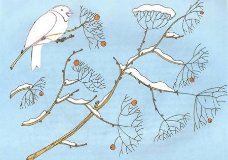 Веточка для птички рисование