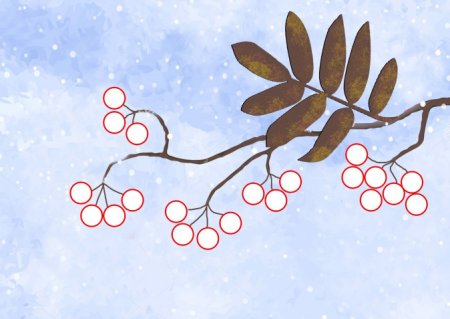 Ветка рябины рисование