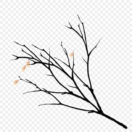 Зимняя ветка