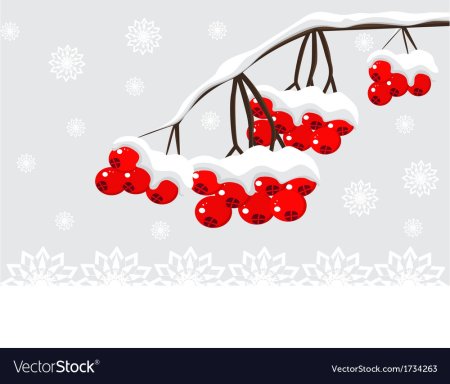 Рябина зимой вектор