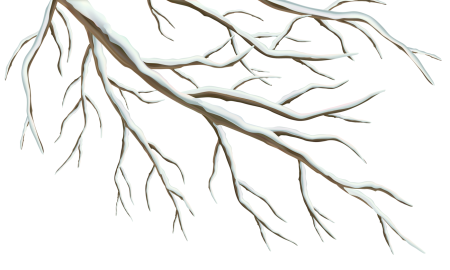 Ветви деревьев на прозрачном фоне