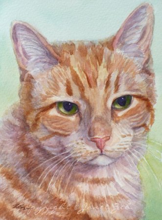Портрет кота акварелью