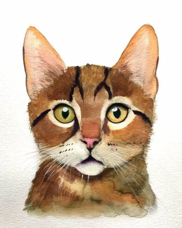 Кошка акварелью