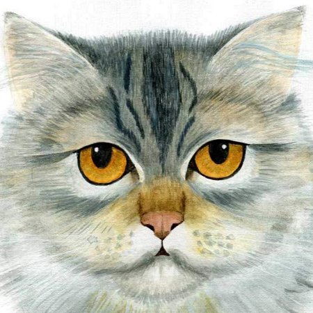 Акварель морда кота