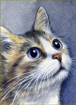 Морда кота живопись