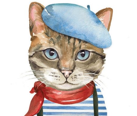 Котик француз