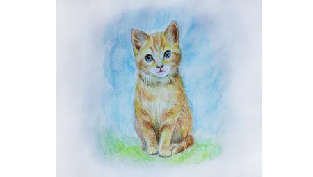 Котенок цветными карандашами