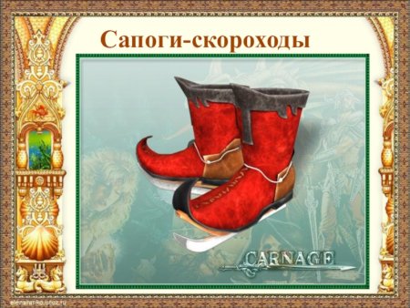 Сапоги скороходы