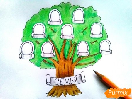 Генеалогическое дерево рисунок