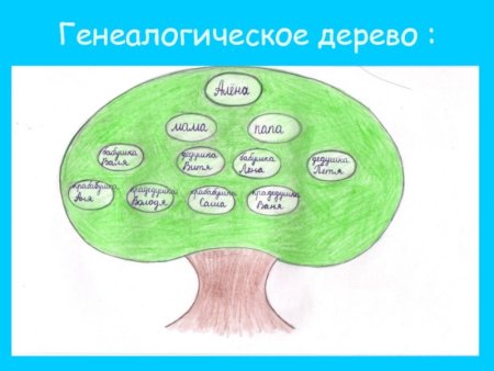 Как нарисовать именное Древо