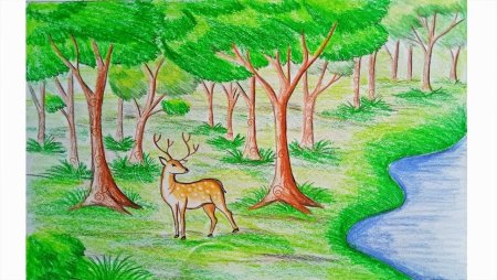 Рисунки природы