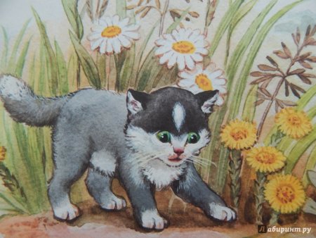 Л Н толстой котенок