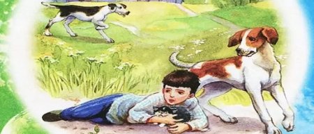 Лев Николаевич толстой котенок