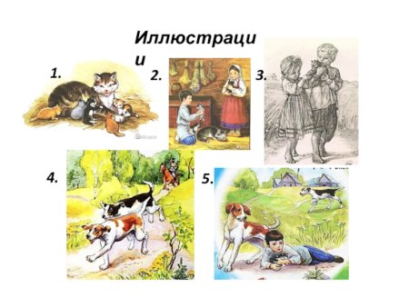 Произведение Толстого котенок