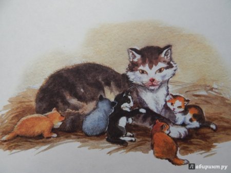 Рисунки к рассказу Филипок Толстого 2 класс