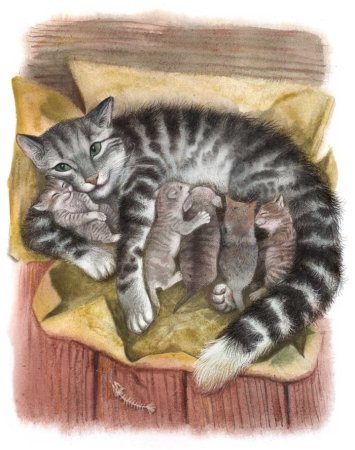 Иллюстрации к рассказу котенок л.Толстого