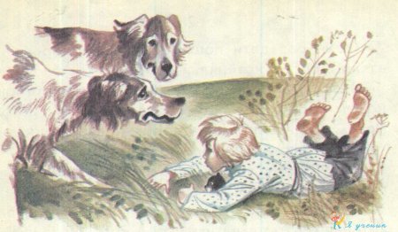 Лев толстой котенок