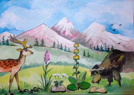 Рисунки на тему КБР природа