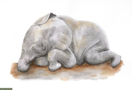 Спящий Слоник