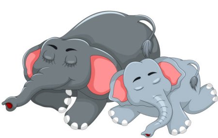 Слониха и слонёнок спят