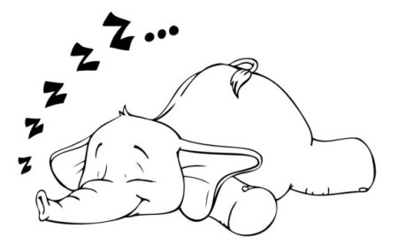 Раскраски животные спят