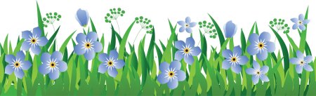 Весенние цветы для детей