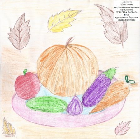 Дары природы рисунок