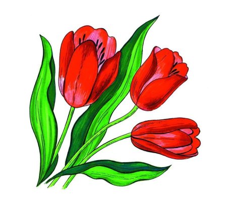 Рисунки цветов для детей