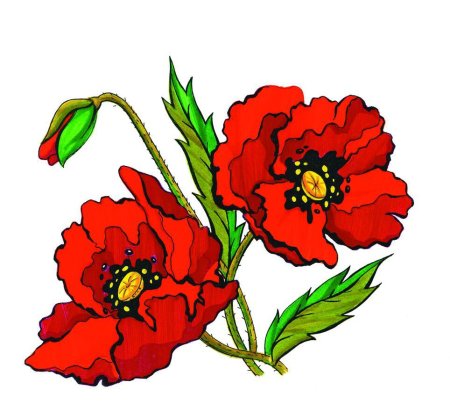Мак рисунок