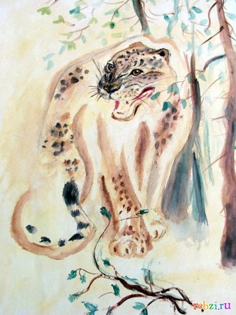 Приморье рисунок