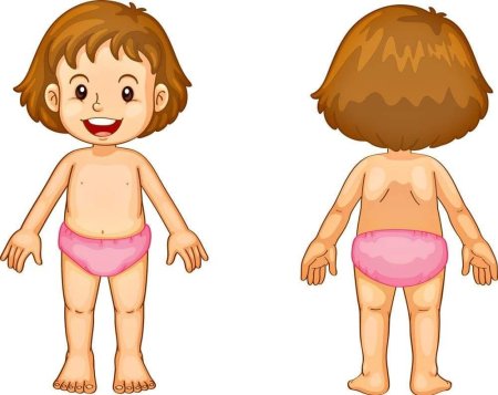 Части тела человека для детей