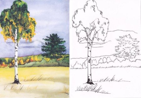 Рисование березы гуашью