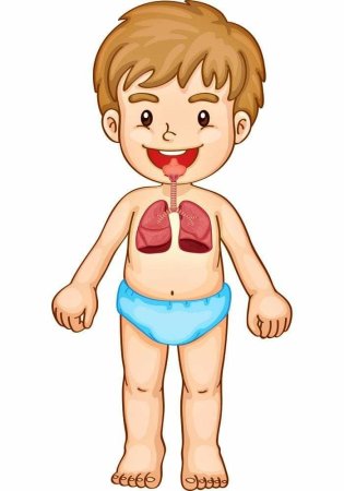 Подписать части тела