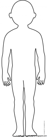 Части тела для детей