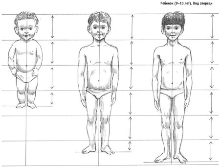 Тело человека по частям для детей