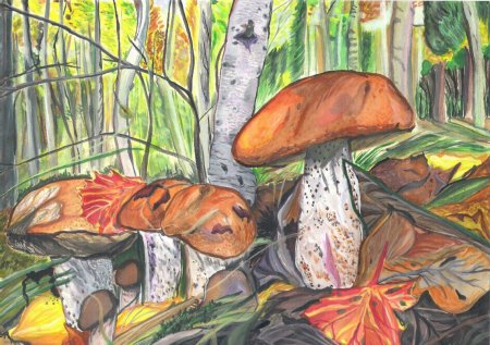 Рисование грибная Поляна подготовительная группа