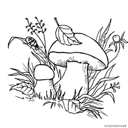 Ягоды картинки для детей