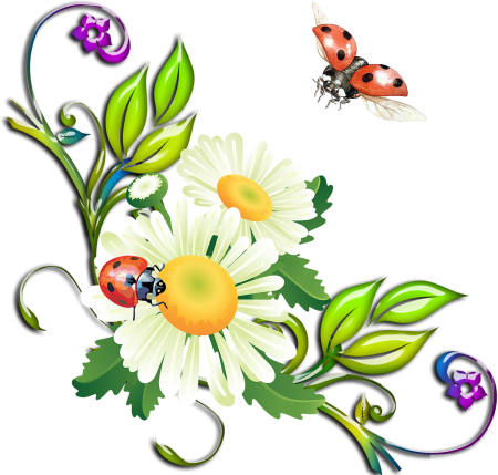 Красивые мультяшные бабочки