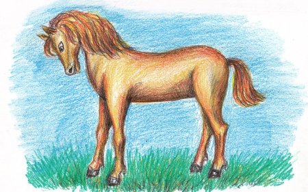 Детские рисунки лошадей