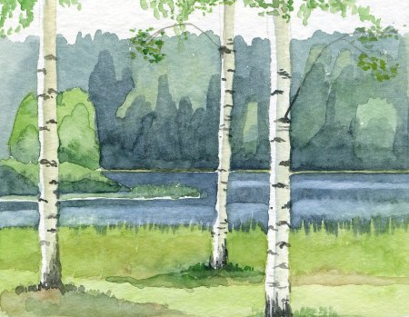 Набросок пейзажа с берёзами