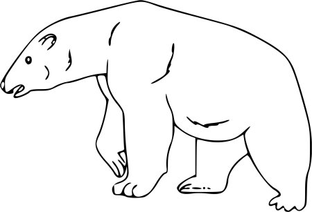 Der Eisbär – белый медведь